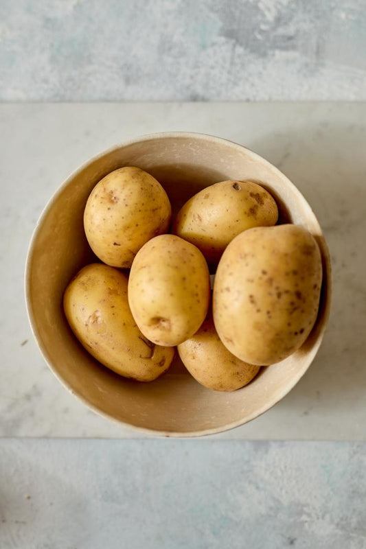 Sárgaburgonya Colomba